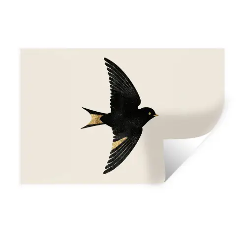 Zwarte zwaluw - Gouden accenten - Lichte achtergrond Muursticker klein -3d