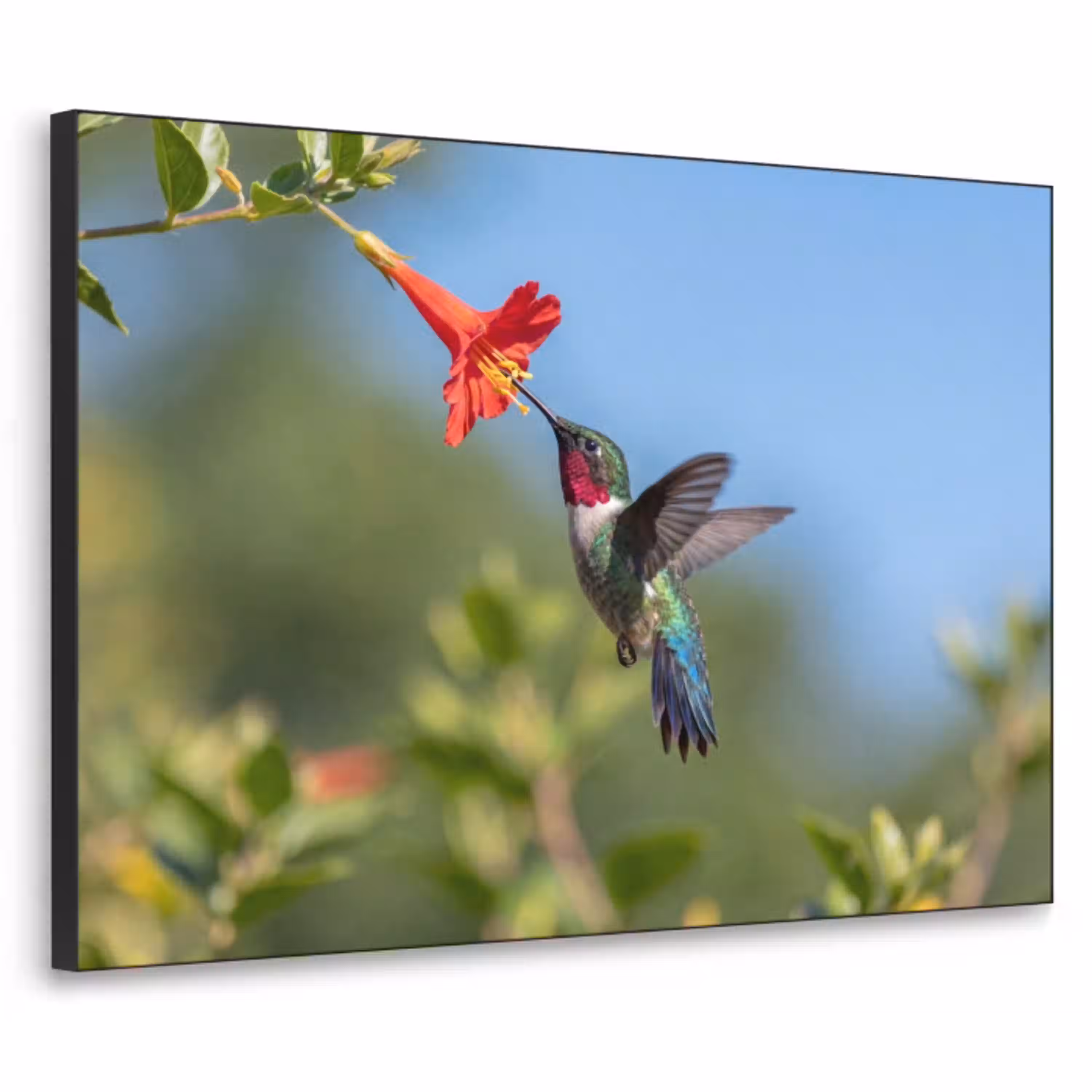 Kolibrie - Bloem - Natuur - Groen Textielframe zwart klein -3d
