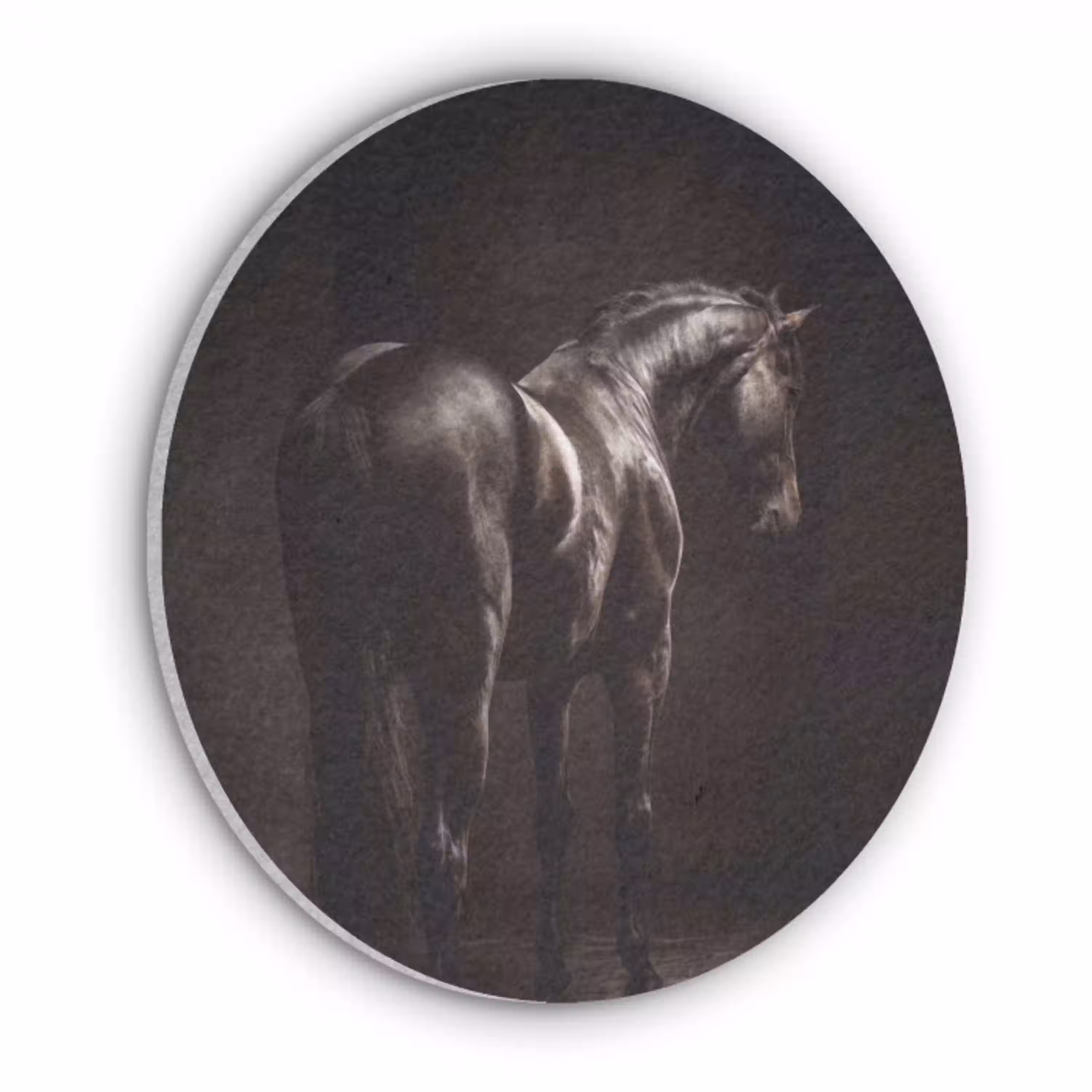 Krachtig - Paard - Donker Akoestische PET Vilt - Rond klein -3d