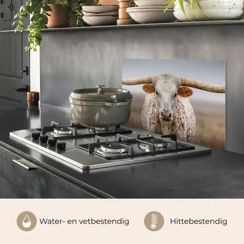 Longhorn - Grasveld - Dier keuken achterwand spatscherm klein -usp_NL