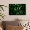 Bladeren - Regendruppels - Licht - Groen canvas 2cm klein -sfeer1