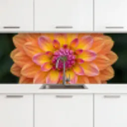 Dahlia - Bloem - Oranje keuken achterwand 2 middel -3d
