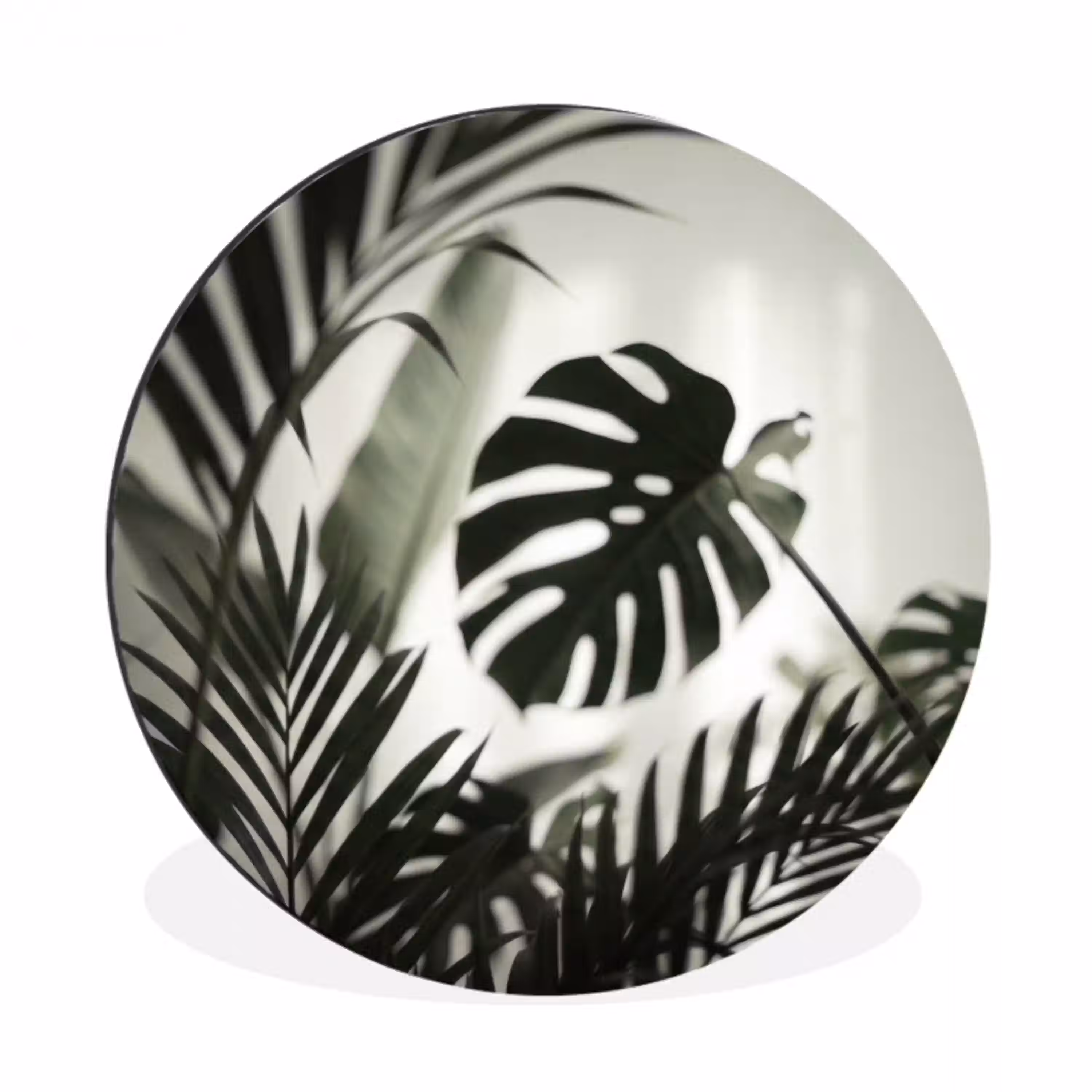 Planten - Bladeren - Natuur - Minimalistisch - Groen Wandcirkel aluminium klein -3d