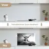 Schotse Hooglander - Spaghetti - Dieren - Zwart wit keuken achterwand spatscherm klein -voor_na_NL