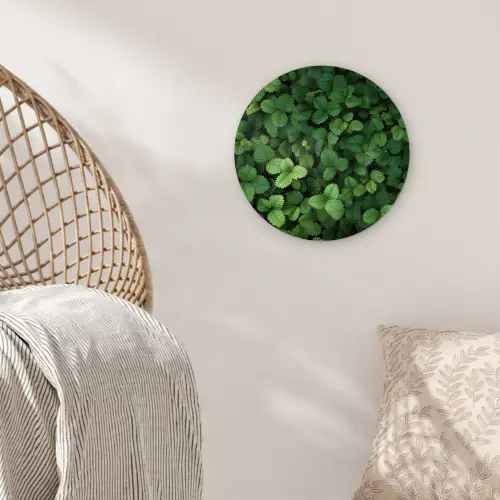 Groen - Bladeren - Kartel - Zonlicht Wandcirkel kunststof plaat 5mm dik klein -sfeer5