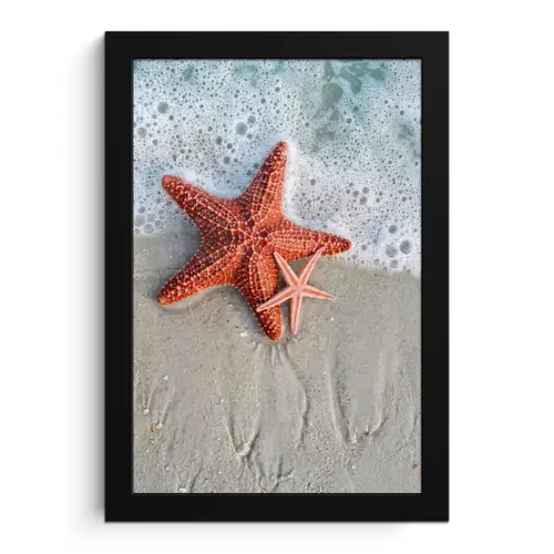 Zeester - Strand - Zee fotolijst zwart zonder passe partout klein -3d