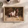 Paard - Bruin - Gras Dienblad Rechthoek middel -USP_Formaat