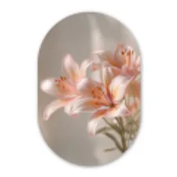 Lelies - Meeldraden - Roze - Wazig Wandcirkel Ovaal Forex klein -3d