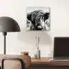 Schotse hooglander - Close up - Horens - Vacht - Zwart Wit aluminium wit klein -sfeer5
