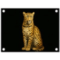Panter - Realistisch - Bruin tuinposter los doek klein -3d