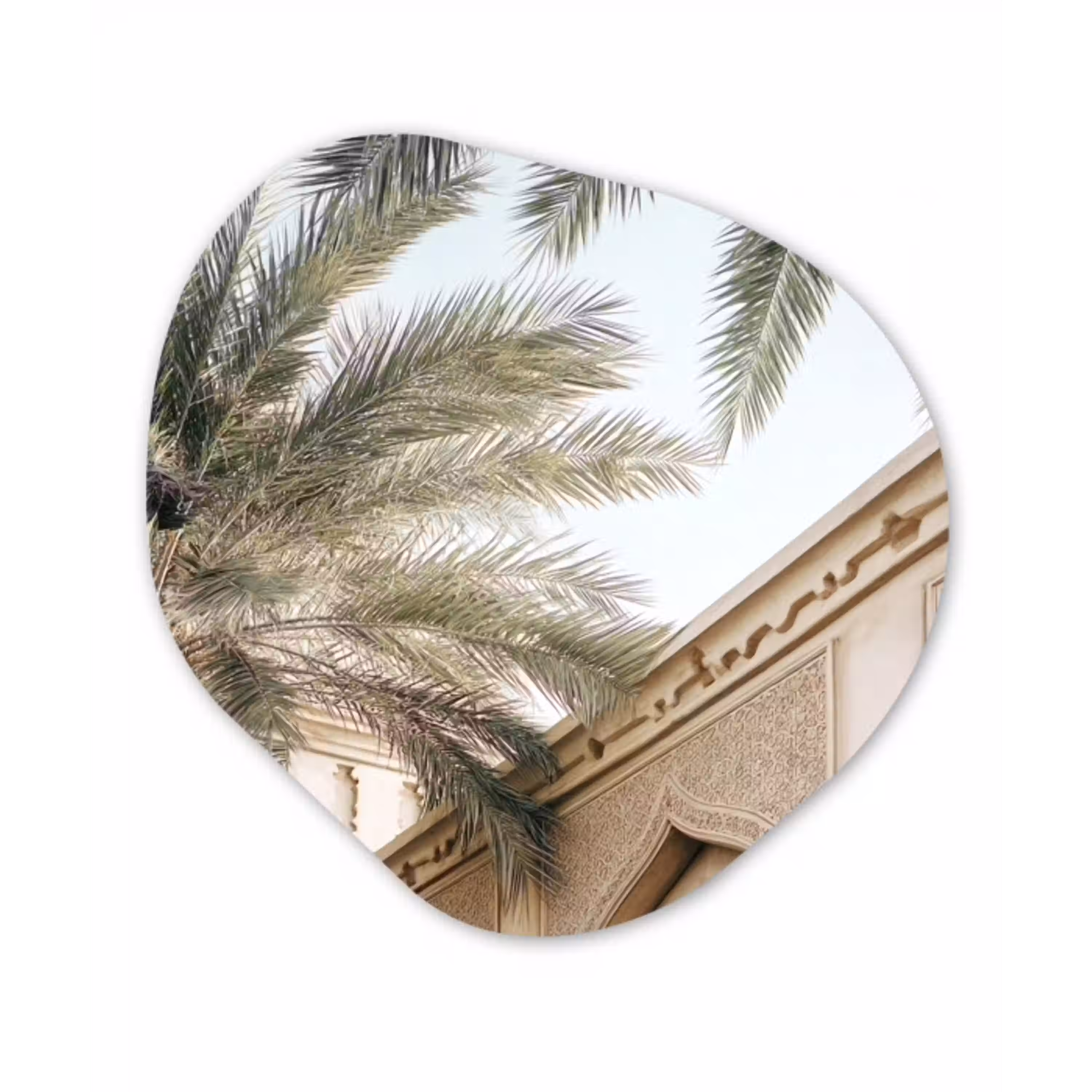Gebouw - Palmbomen - Beige - Zon Wandcirkel Organisch Aluminium middel -3d