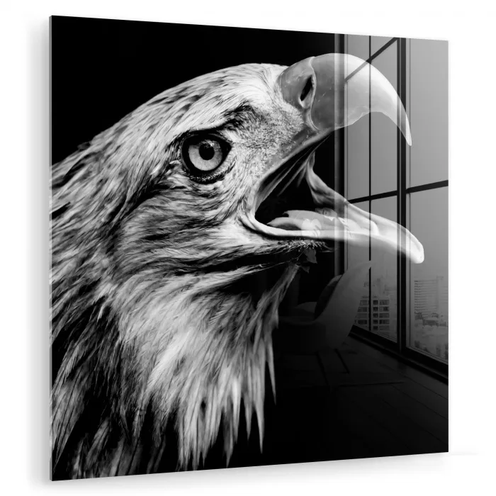 Adelaar - Portret - Roofvogels - Zwart - Wit - Vogel plexiglas 5mm klein -zzzproduct_nieuw