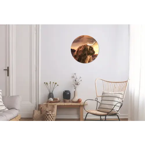 Schotse hooglander - Zon - Horizon - Koe - Dieren Wandcirkel aluminium klein -woonkamer