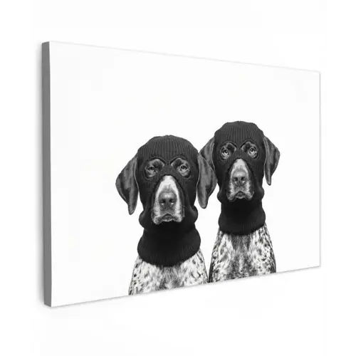 Honden - Bivakmuts - Zwart - wit canvas 2cm klein -z3d