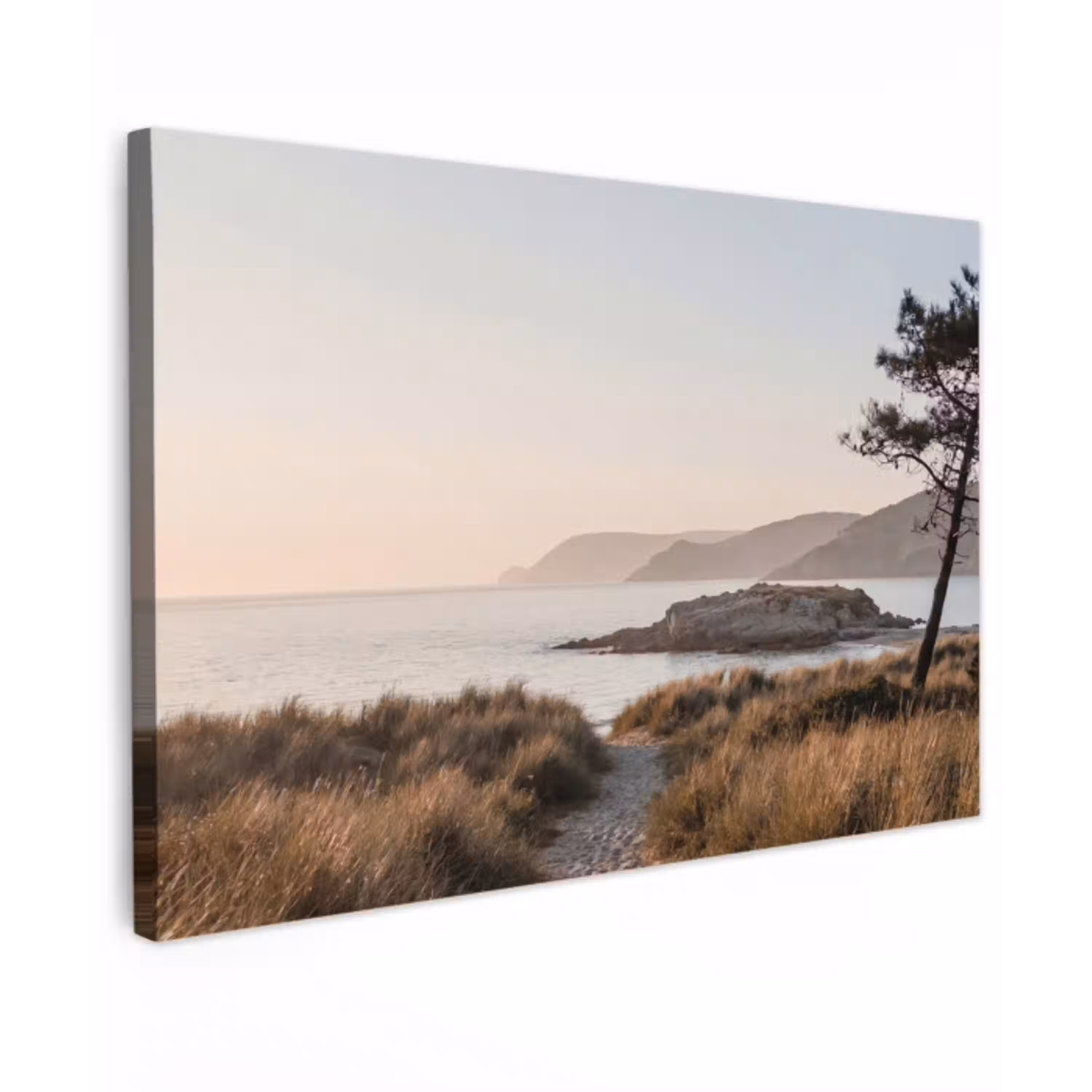 Landschap - Kust - Duinen Tuinposter op houten frame 2 cm dik klein -3d