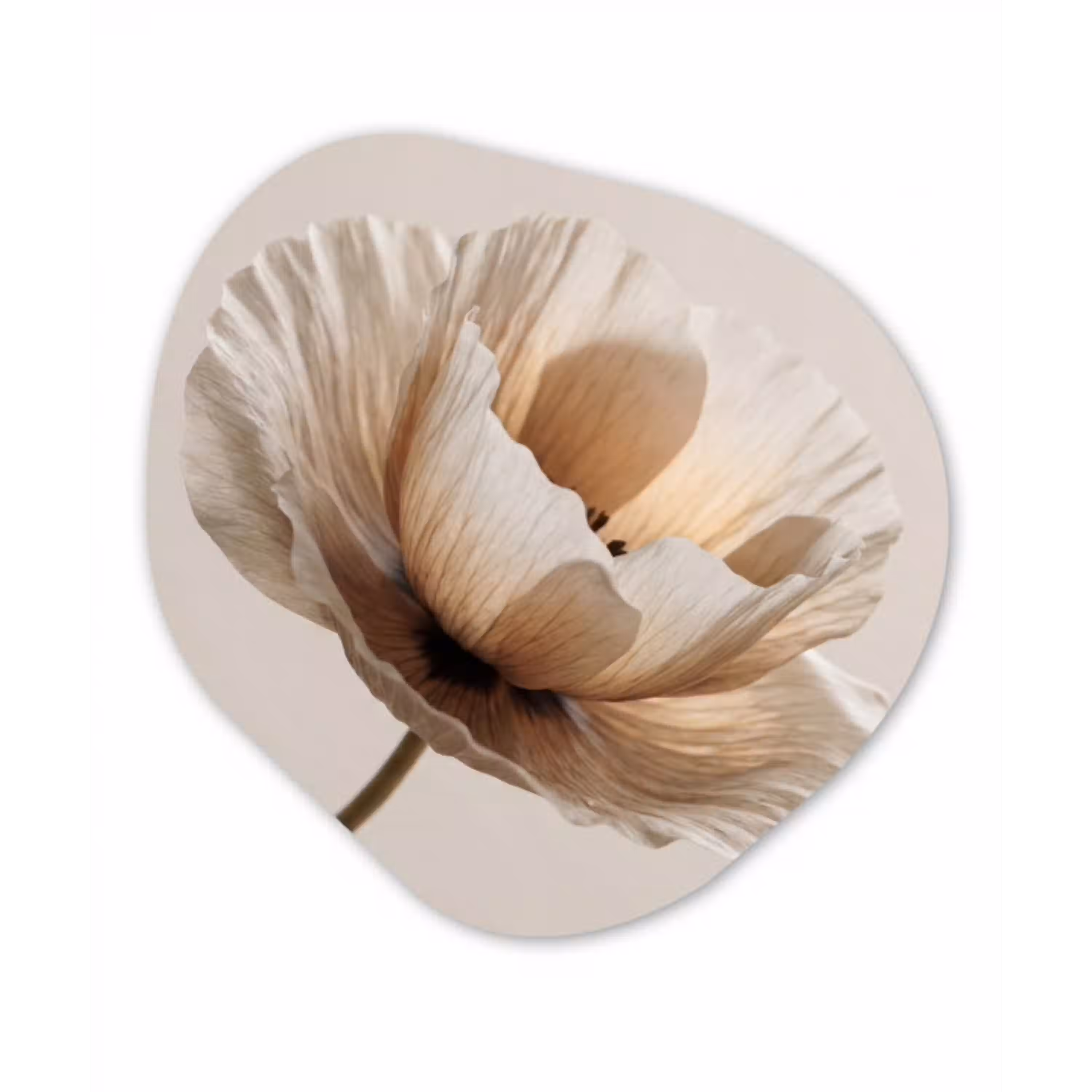 Bloem - Beige - Crème Wandcirkel Organisch Aluminium middel -3d