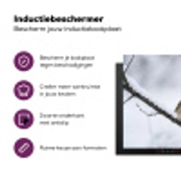 Roodborstje - Tak - Sneeuw - Winter - Levendig Inductie beschermer vinyl 3mm klein -zzzzzzz-cc-usp