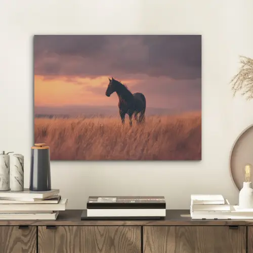 Paard - Wolken - Open veld PET vilt klein -sfeer1
