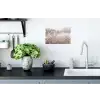 Graspluimen - Wind - Beige - Mistig Muursticker klein -keuken