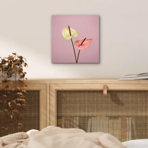 Bloemen - Anthuriums - Geel - Roze aluminium wit klein -sfeer3