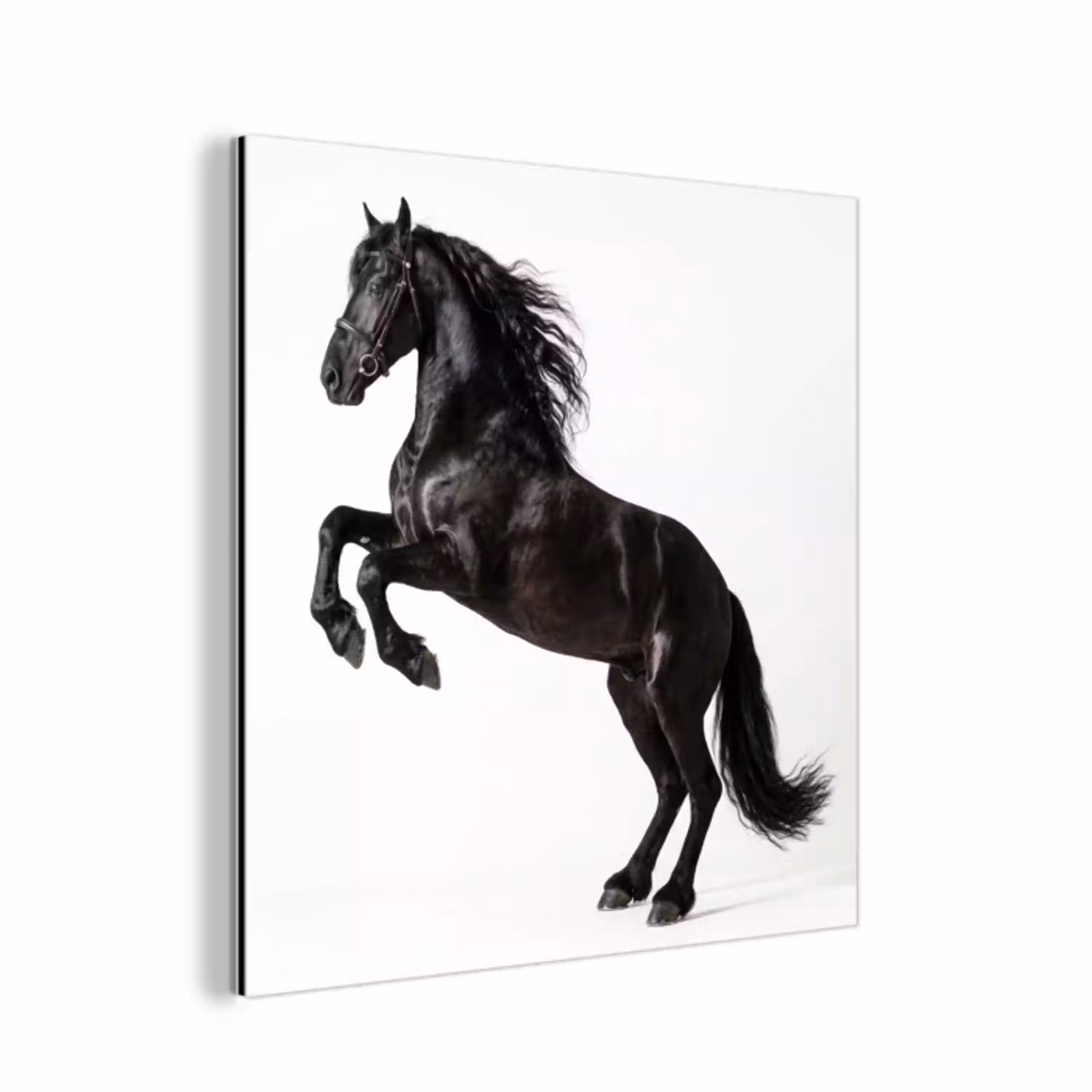 Zwart - Paard - Portret aluminium wit klein -3d