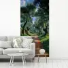 Pad - Bomen - Schaduw - fotobehang vinyl groot -woonkamer