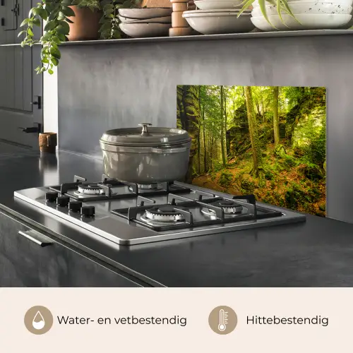 Bomen - Steen - Bos - Natuur - Planten keuken achterwand spatscherm klein -usp_NL