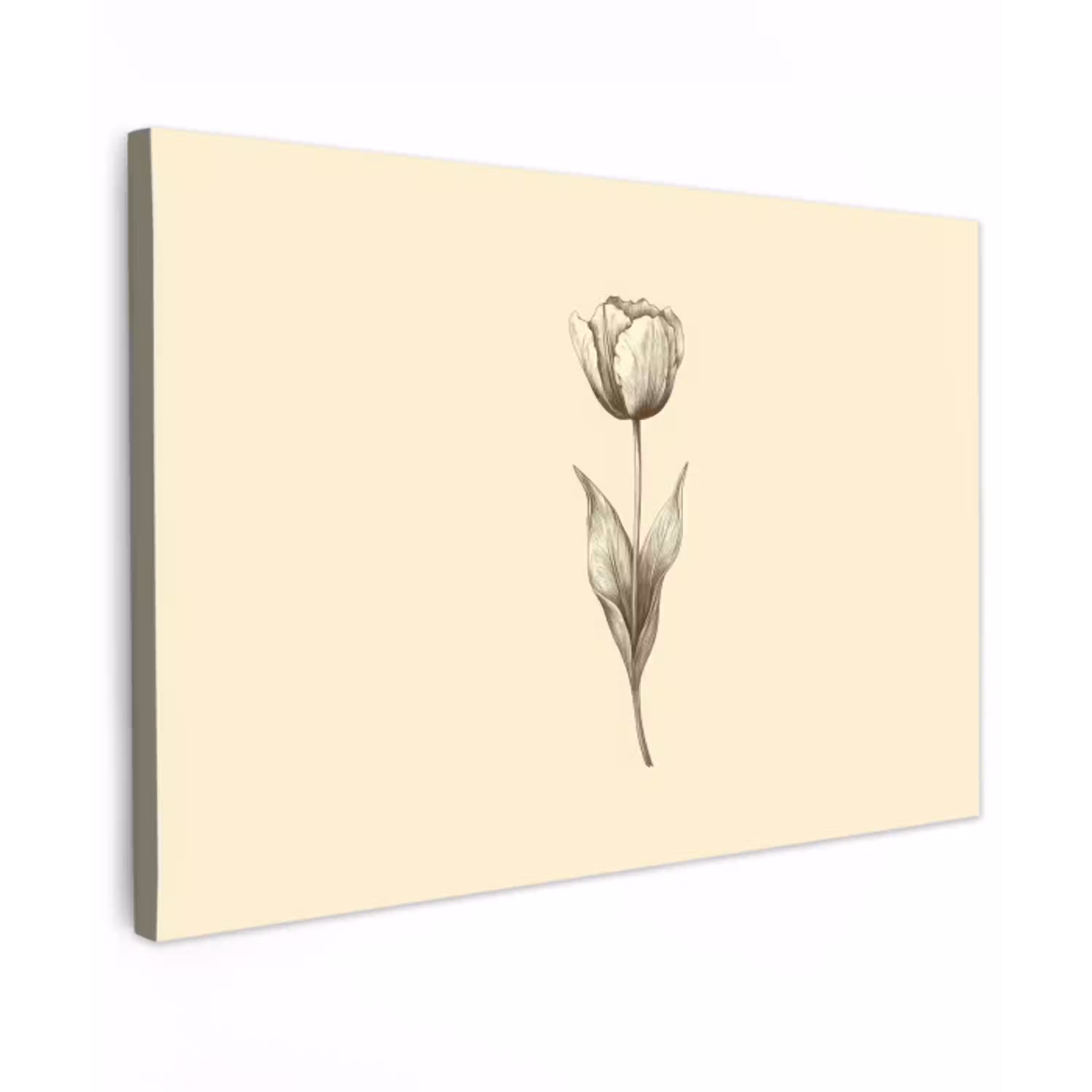 Illustratie - Tulp - Zwart Tuinposter op houten frame 2 cm dik klein -3d
