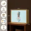 Blauw - Ananas - Disco - Discobal Light Box met batterij (Wandlamp) middel -USP_websiteoverzichtNL