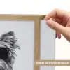 Hondje - Wijnglas - Zonnebril - Enthousiast Light Box met batterij (Wandlamp) middel -USP_websiteprintNL