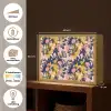 Zomer - Vlinder - Roze - Geel Light Box met batterij (Wandlamp) middel 907 -USP_websiteoverzichtNL