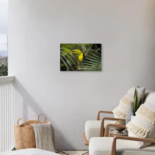 Close-up van een etende toekan Tuinposter op houten frame 2 cm dik klein -sfeer1