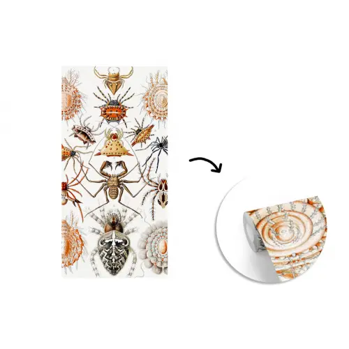 Retro - Ernst Haeckel - Insecten - Tuinposter - Tuin fotobehang vinyl groot -3d