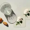 Cameliabloem - Wit - Groen onderzetter kurk middel -sfeer4