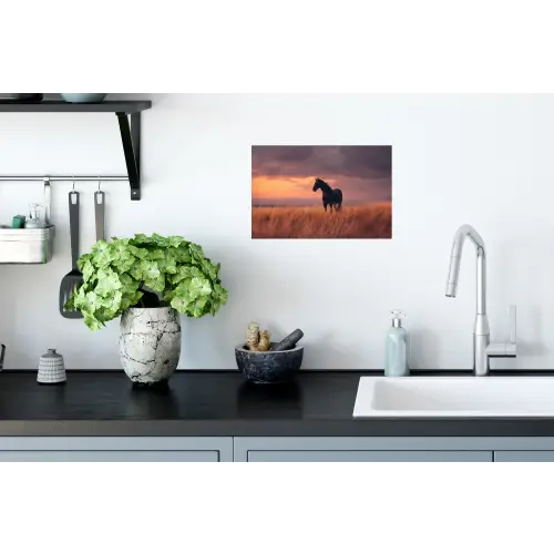 Paard - Wolken - Open veld Muursticker klein -keuken