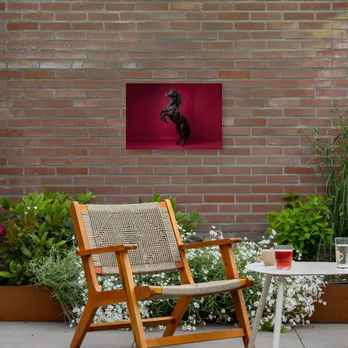 Hengst - Steigert - Rood Tuinposter op houten frame 2 cm dik klein -sfeer3