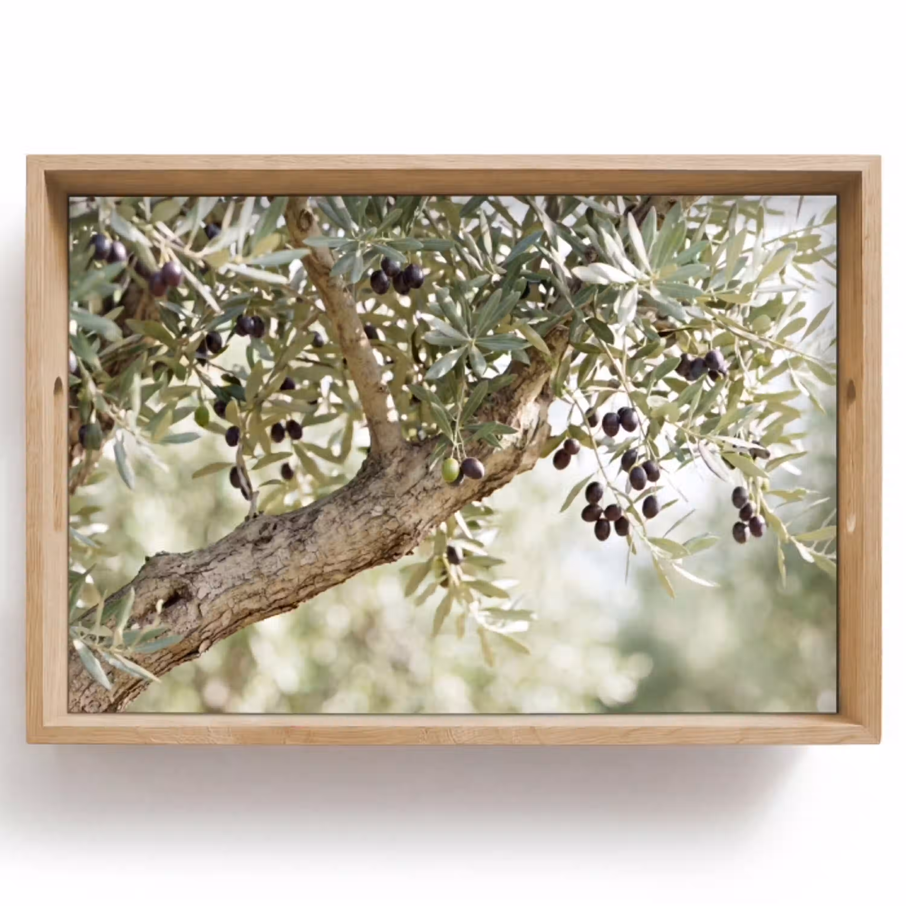 Olijfboom - tak - groen Dienblad Rechthoek middel -z3d_shopping