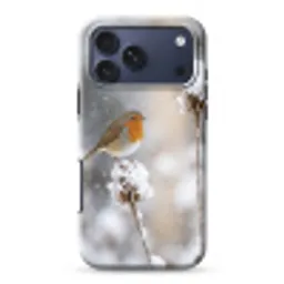 Roodborstje - Gedroogde bloem - Sneeuw - Winter - Vertederend Toughcase MagSafe Apple iPhone 17 Pro Max klein -3d