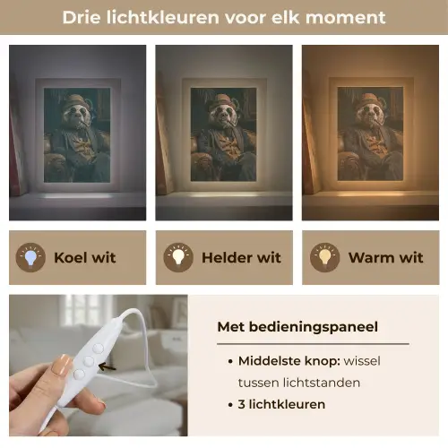 Panda - Hoed - Bril - Pak Light Box met kabel (Tafellamp) klein -USP_lichtkleurNL