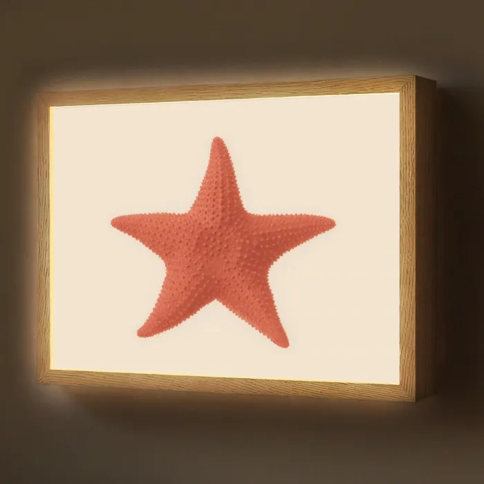 Zeester - Bobbels - Rood Light Box met batterij (Wandlamp) middel -z3d_website
