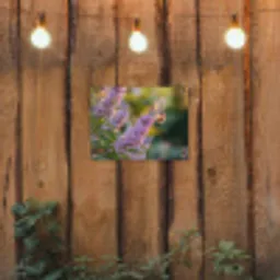 Sierlijke - Vlinder - Paarse - Bloemen tuinposter los doek klein -sfeer1