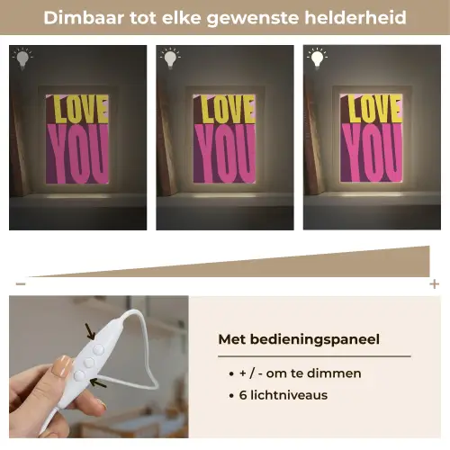 Love - Tekst - Roze - Valentijn Light Box met kabel (Wandlamp) klein -USP_dimbaarNL