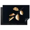 Bladeren - Tak - Goud - Luxe Inductie beschermer vinyl 3mm klein -3d