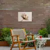 Bloem - Beige - Crème Tuinposter op houten frame 2 cm dik klein -sfeer3