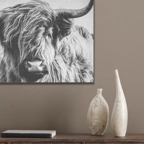 Schotse hooglander - Close up - Horens - Vacht - Zwart Wit PET vilt klein -sfeer6_closeup