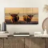 Schotse hooglanders - Heide - Landschap - Dieren plexiglas 5mm klein -sfeer1