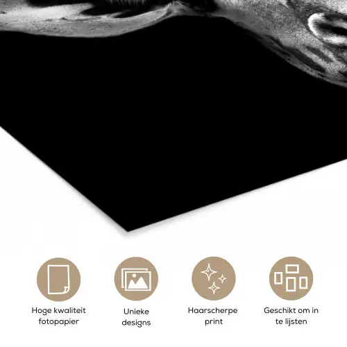 Giraffe - Portret - Dieren - Zwart - Wit poster papier klein -closeup_NL