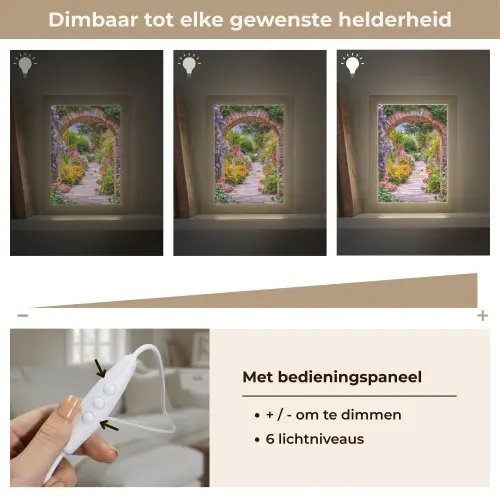 Doorkijk - Bloemen - Pad - Natuur Light Box met kabel (Tafellamp) klein -USP_dimbaarNL