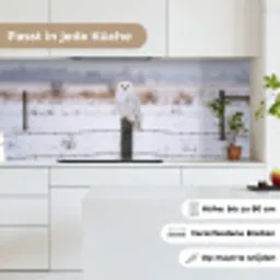 Sneeuwuil - Hek - Sneeuw - Wit keuken achterwand 2 middel -sfeer4_DE