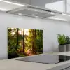 Bos - Pad - Bomen - Groen - Zon - Natuur keuken achterwand spatscherm klein -3d_schuin